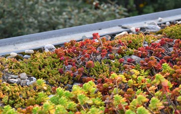 the cost of Tan Yr Allt green roof installation