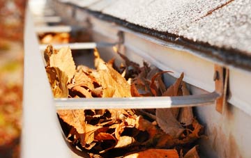 Tan Yr Allt gutter cleaning companies