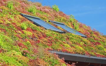 Tan Yr Allt living roof systems