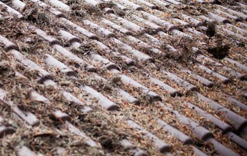 Tan Yr Allt roof cleaning companies