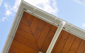Tan Yr Allt soffit types