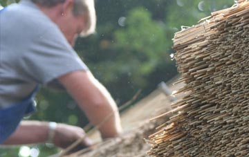 professional Tan Yr Allt thatchers